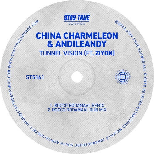 Ziyon, China Charmeleon, AndileAndy - Tunnel Vision [STS161]